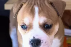 6479a0_19106adea9cb4e3790ca5c588fb24925mv2