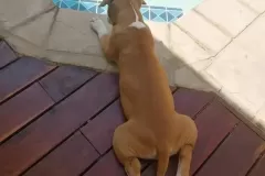 6479a0_c2f3ffd3332649ad86daca2506859115mv2