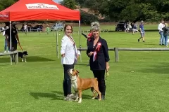 6479a0_1d55fc882ddf45c8a8a4cb07e883003emv2