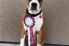 6479a0_a2b1b0a7412c473a8bf4e7ea525ad5cfmv2