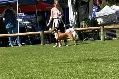 6479a0_c9d9413214e74190958213fccff49a41mv2